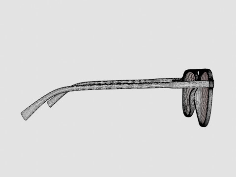 Fortis Midnight Glasses 3D Model