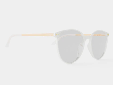 Прозрачные очки Venus 3D Модель