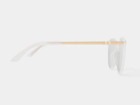 Venus Clear Glasses 3D Model