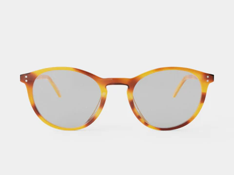 Ventura Havana Glasses 3D Model