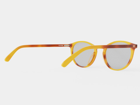 Ventura Havana Glasses 3D Model