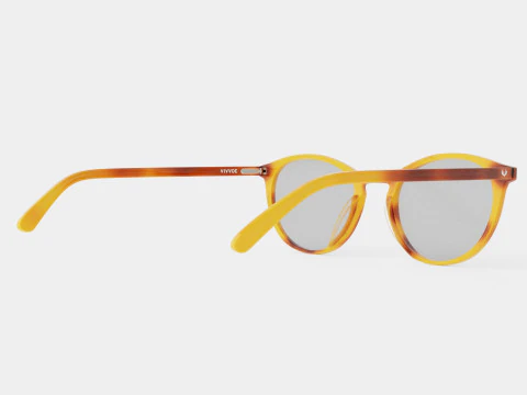 Ventura Havana Glasses 3D Model