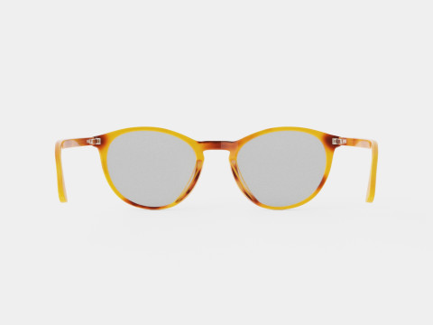Ventura Havana Glasses 3D Model