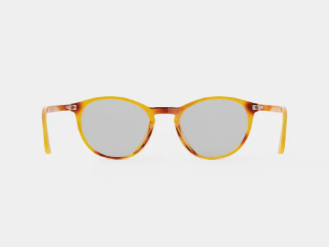 Ventura Havana Glasses 3D Model