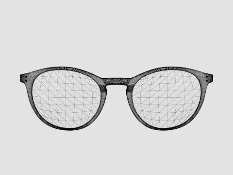 Ventura Havana Glasses 3D Model