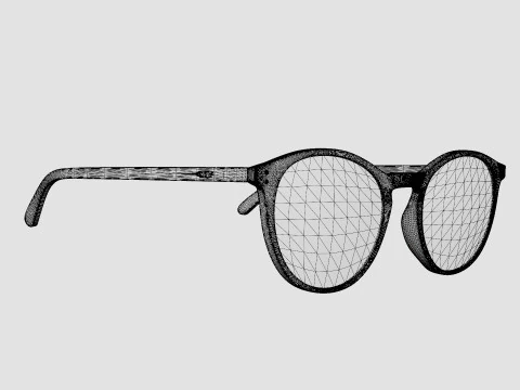 Ventura Havana Glasses 3D Model