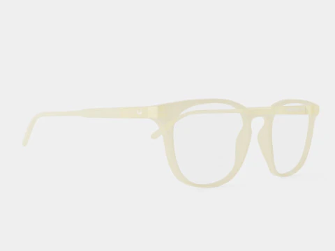 Semper Citrus Glasses 3D Model