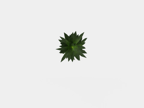 Dracaena Janet Lind 3D Модель