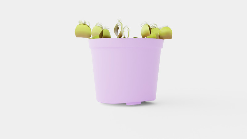 Dionaea muscipula Modèle 3D .c4d .max .obj .3ds .fbx .stl .blend 