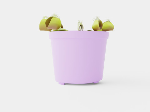 Dionaea muscipula Modèle 3D