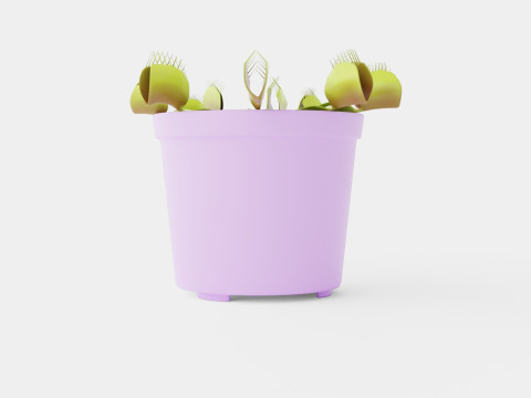 Dionaea muscipula Modèle 3D