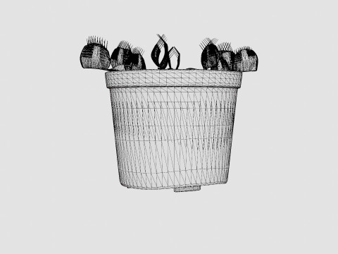 Dionaea muscipula Modèle 3D