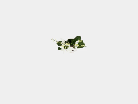 Phalaenopsis hybrid Duetto 4 branch 3D Model
