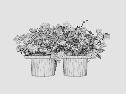 Hedera helix 6 pack 3D Model