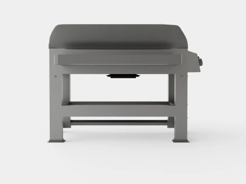 Spirit II E 310 GBS NO 3D Model