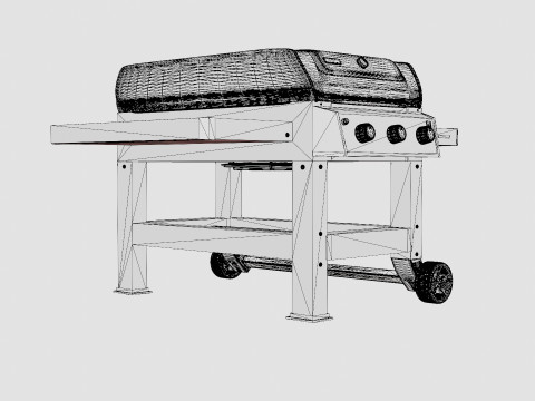 Spirit II E 310 GBS SV Modèle 3D