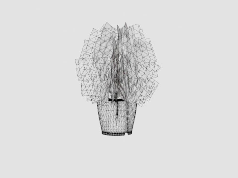 Thuja occidentalis TinyTim 3D Model