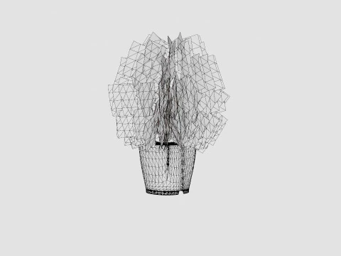 Tuja Tiny Tim 3D Model