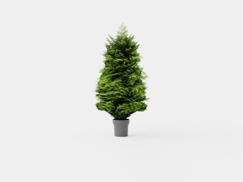 ARTIFICIAL CHRISTMAS JUNIPER 3D 모델