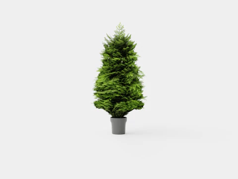 ARTIFICIAL CHRISTMAS JUNIPER 3D Model