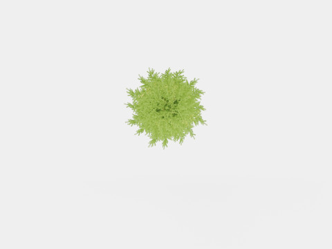 New Langfjella Christmas Tree 3D Model