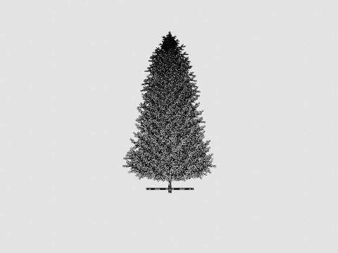New Langfjella Christmas Tree 3D Model