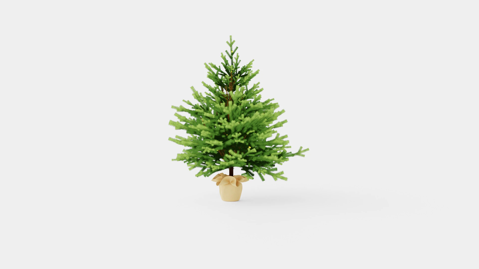 Mini Christmas Tree 3D Model .c4d .max .obj .3ds .fbx .stl .blend 