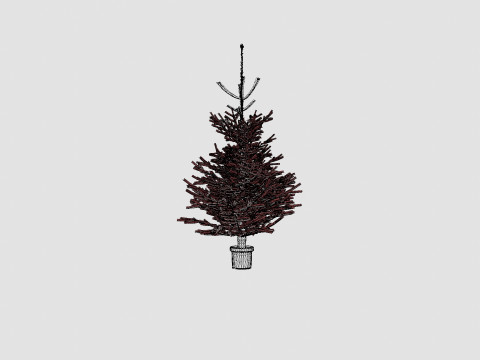 Abies Nordmanniana Christmas Tree 3Dモデル