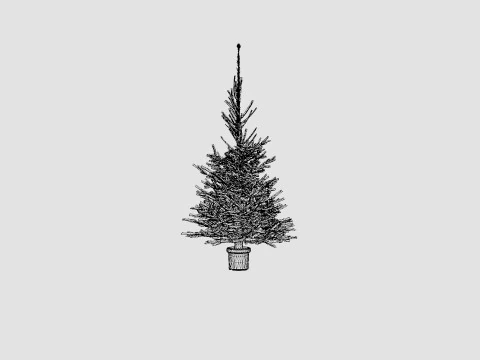 Picea abies Christmas Tree 3D Model