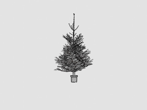 Abies Nordmanniana ECO Christmas Tree Modelo 3D