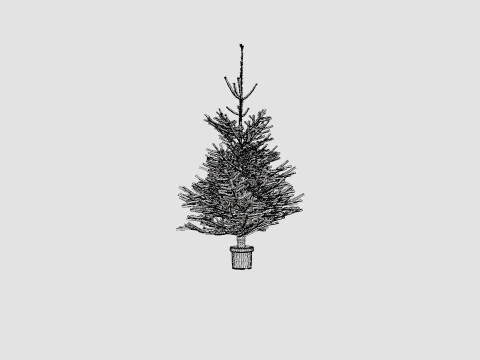 Abies Nordmanniana ECO Christmas Tree 3D Model