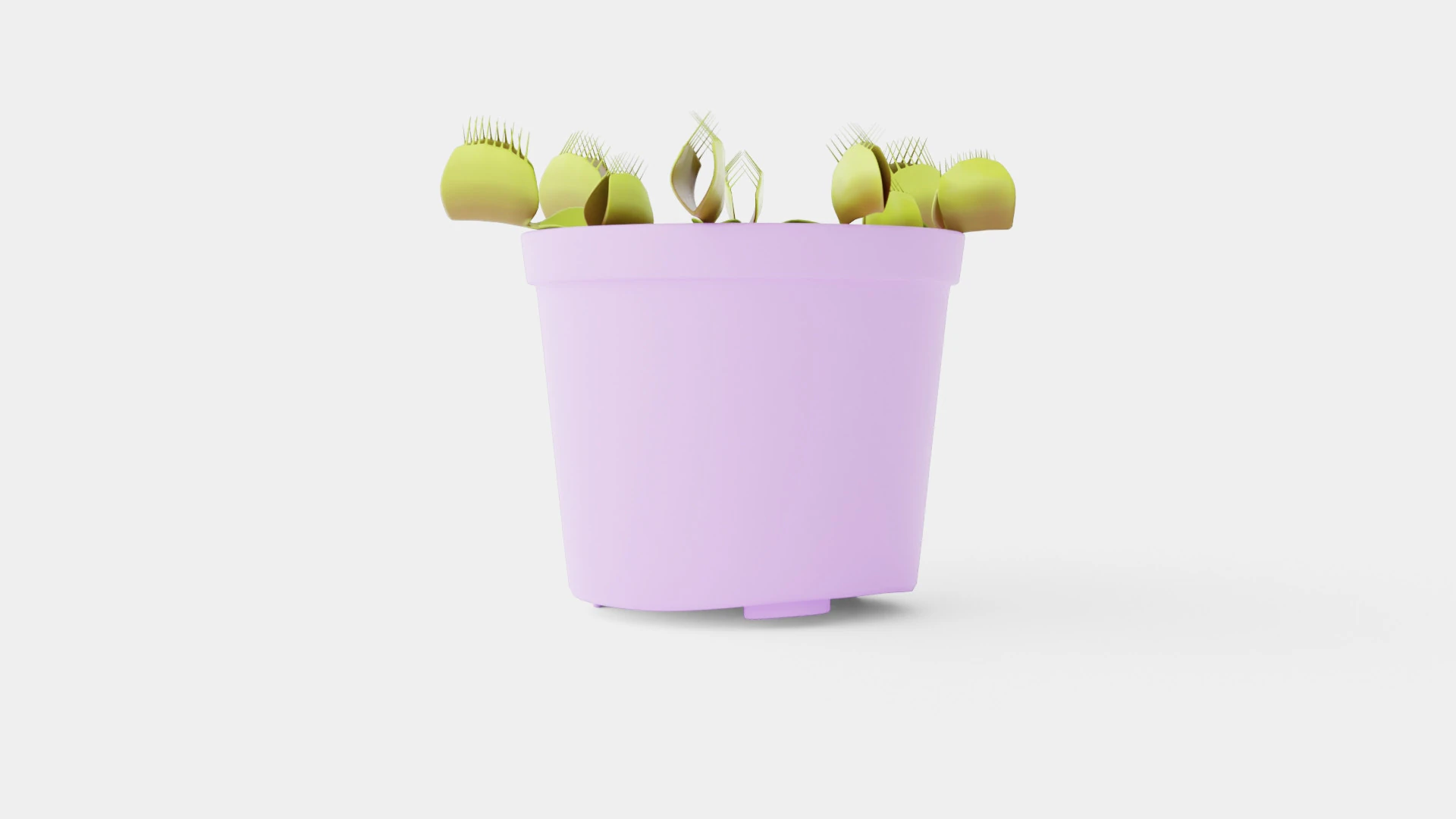 Dionaea muscipula 3D Model .c4d .max .obj .3ds .fbx .stl .blend 