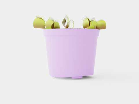 Dionaea muscipula 3D Model