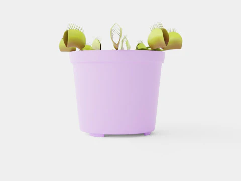 Dionaea muscipula 3D Model