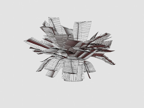 Nephrolepis ex Green Lady Modèle 3D
