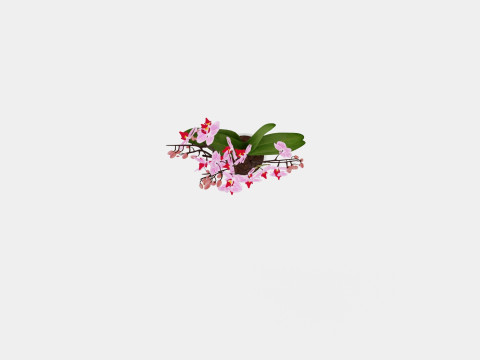 Phalaenopsis seasonal 2 branch 22 mini flowers mix 3D Model