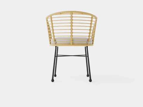 Tretoria Dining Chair 3D Model