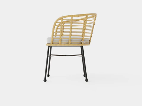 Tretoria Dining Chair 3D Model