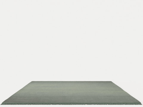 EVEN MOSS Rug 3D Model