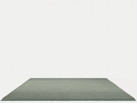 EVEN MOSS Rug 3D Model