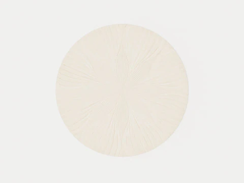 PIERRE RONDE FOLIA 38301 Modèle 3D