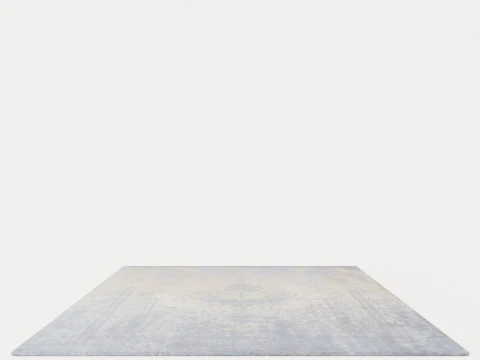 FADING WORLD GENERATION 8633 BEIGE SKY RUGS 3D Model
