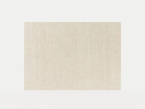 Tapis BEIGE AVOINE Modèle 3D