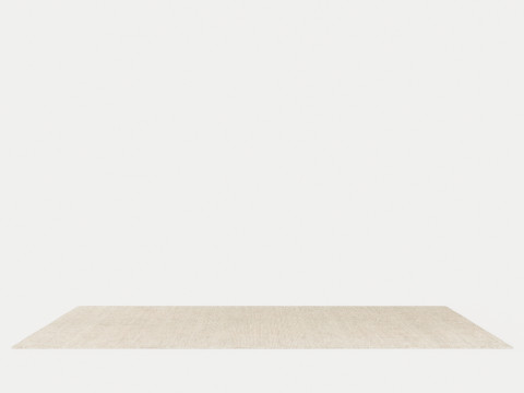 OAT BEIGE Rug 3D 模型