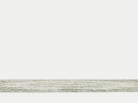 PALAZZO DA MOSTO 9142 ESTE GREEN RUGS 3D Model