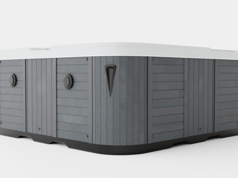 Neptune Spa Lx Pump 94 Jets 6 People White Modelo 3D