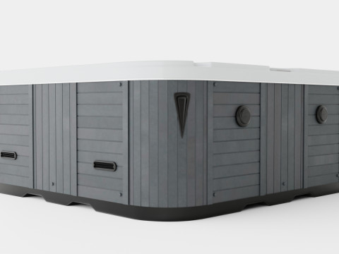 Neptune Spa Lx Pump 94 Jets 6 People White Modelo 3D