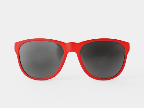 Adidas Wildcharge - A425 Sport Glasses 3D Model