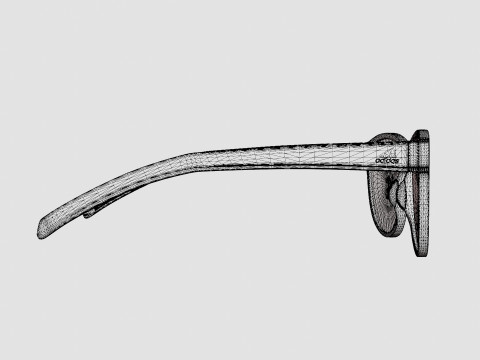 Adidas Wildcharge - A425 Sport Glasses 3D Model