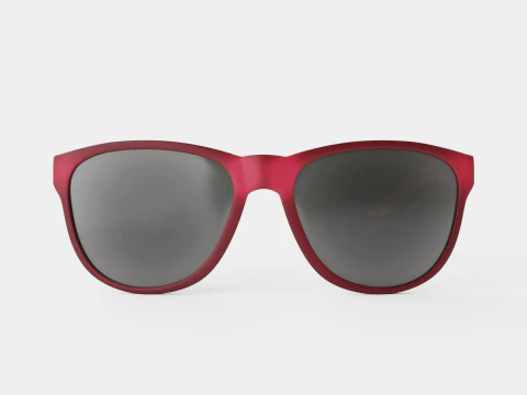 Adidas Wildcharge - A425 Sport Glasses 3D Model